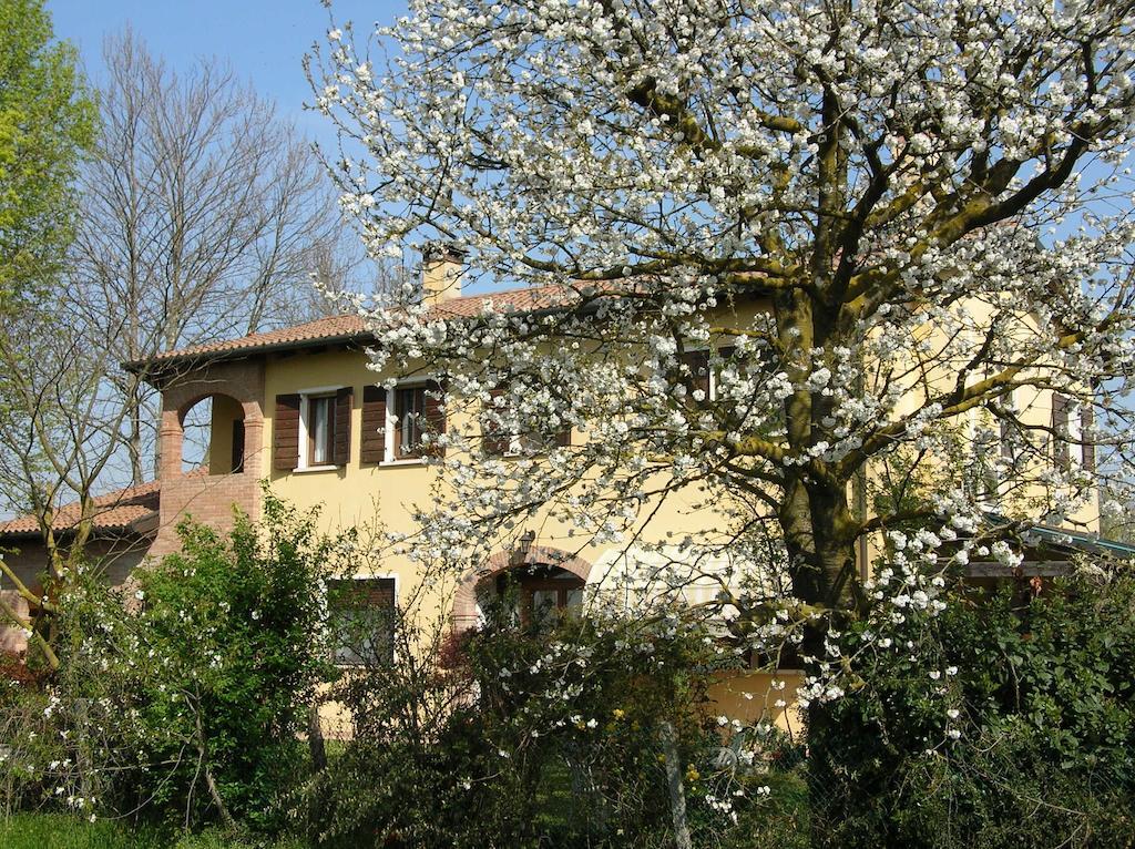B&B Ai Ciliegi Mogliano Veneto Exterior foto